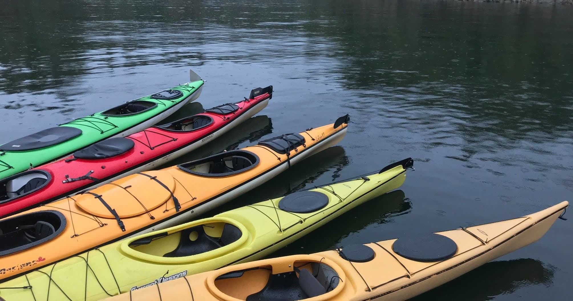 Colorful recreational kayaks lined up on calm harbor water in Ketchikan
