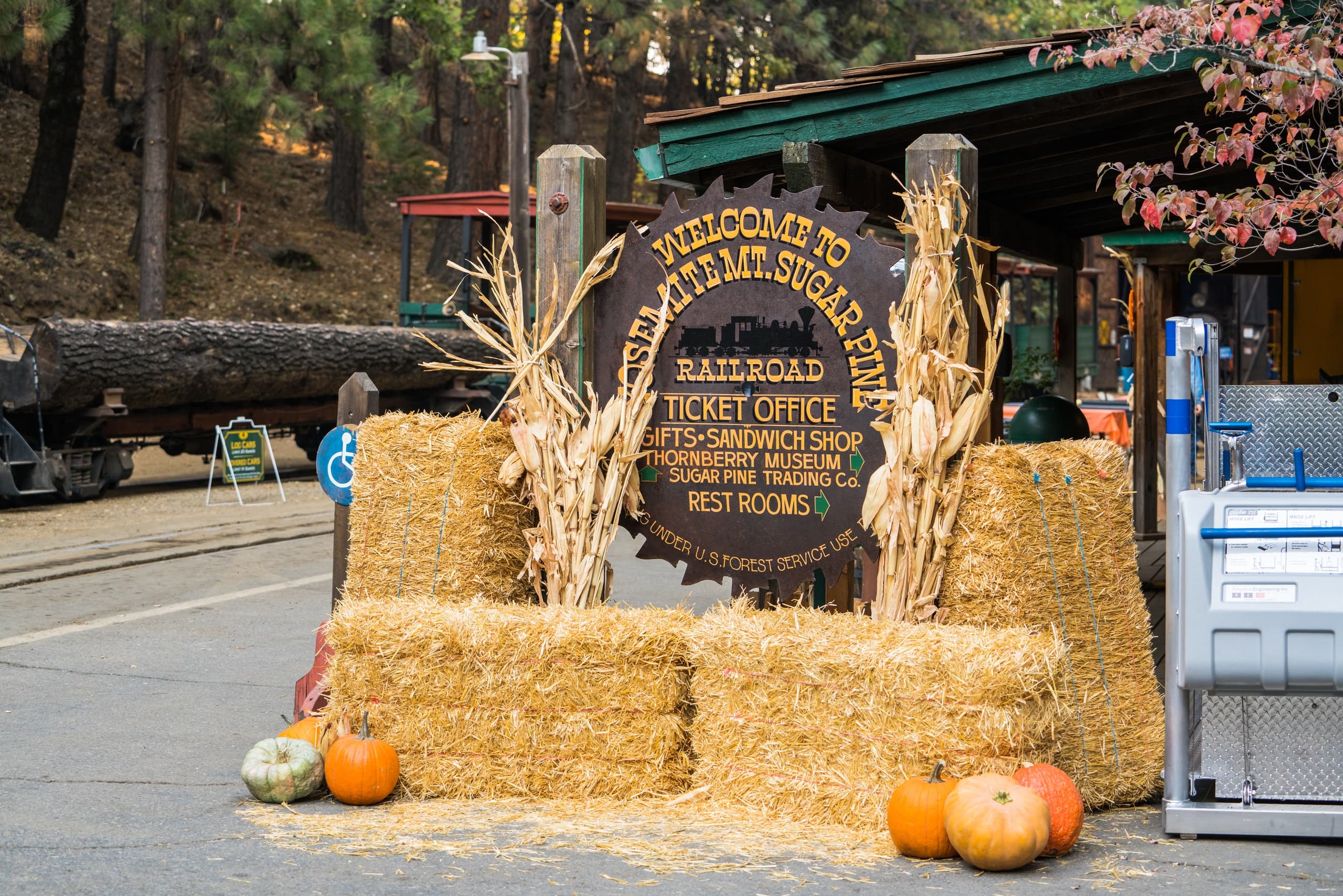 Outdoor Festivities & Train Ride at Yosemite Mountain
