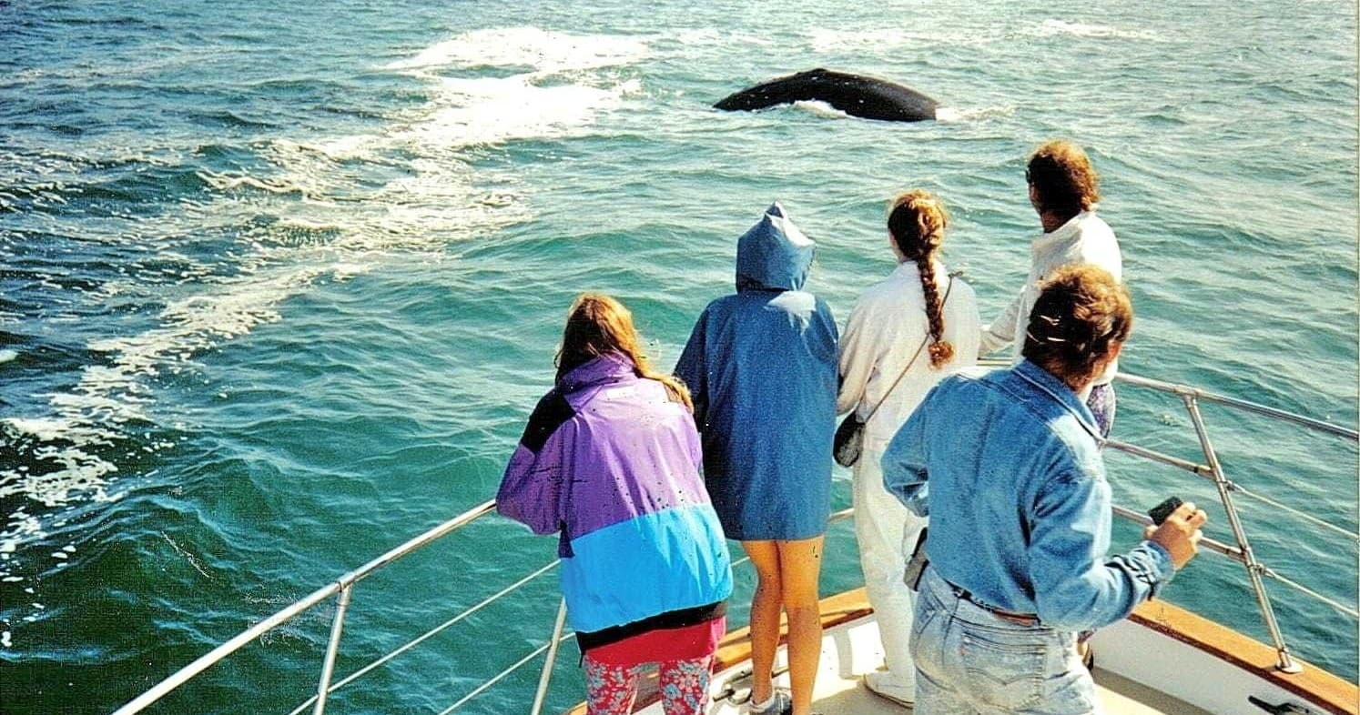 Whale Watching Adventures in Portland, Oregon Coast
