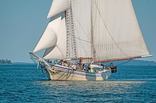Lobsters, Sailing & Music Adventure in Rockland, Maine