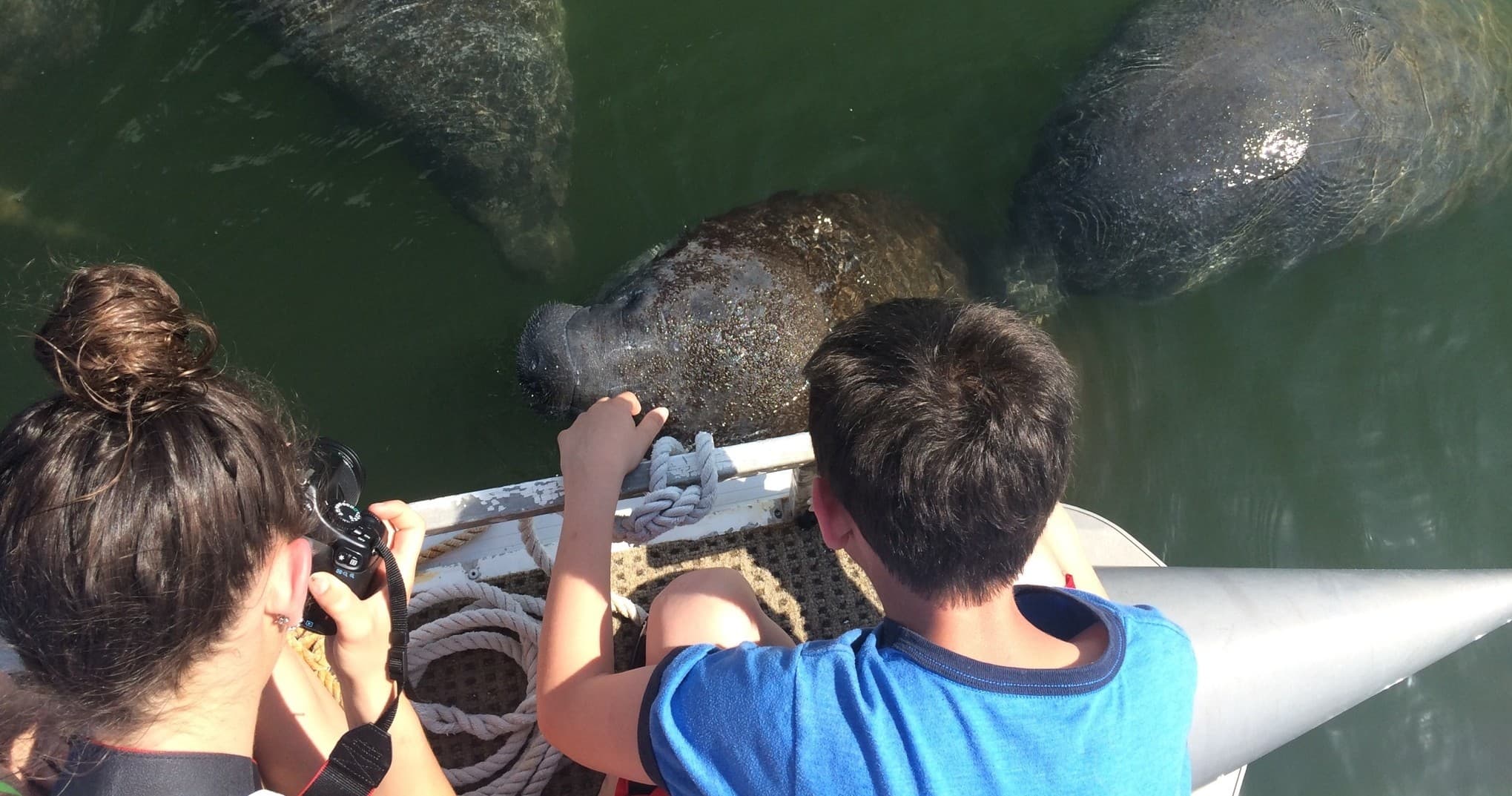 Coastal Lagoon Tours fleet