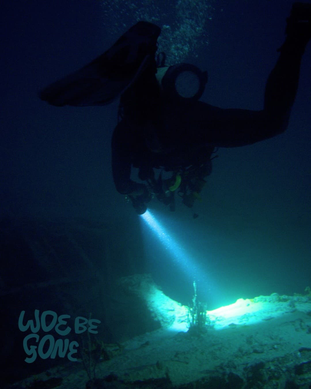 Jervis Bay Night Dive: Bioluminescent One-Tank Scuba Adventure from Woollamia