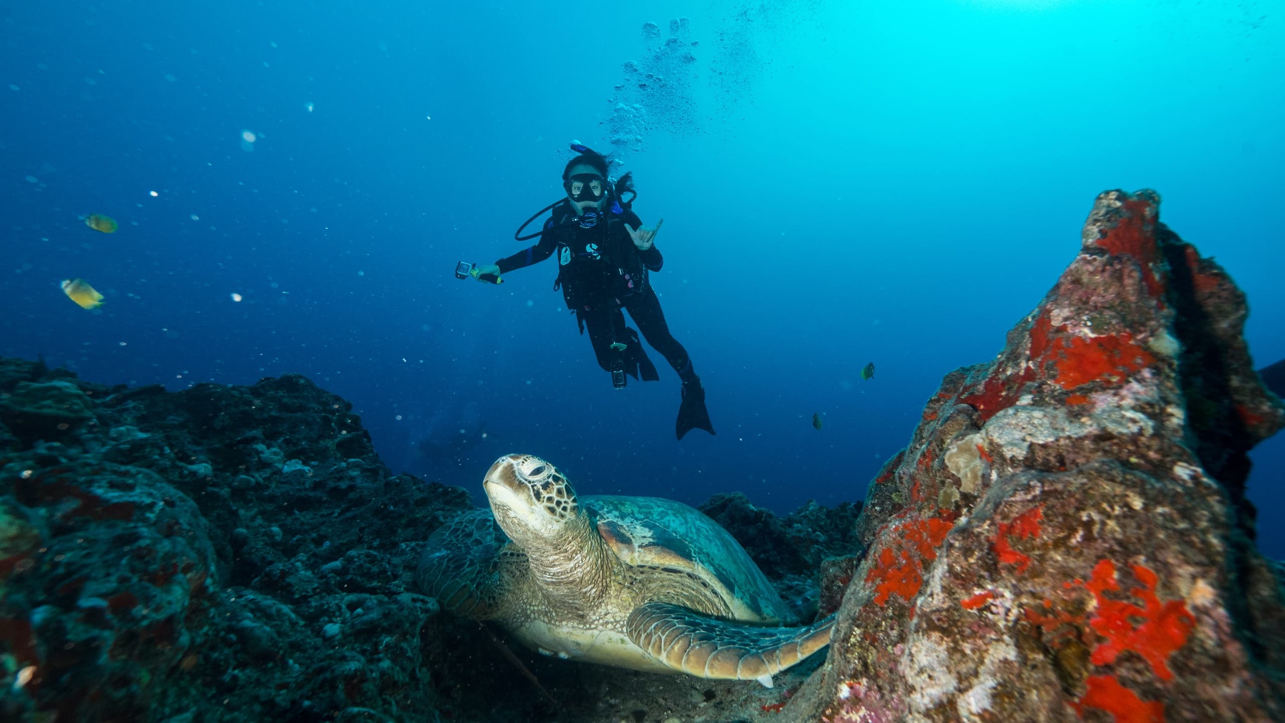Ultimate 3 Tank Dive Adventure in Honolulu, Hawaii