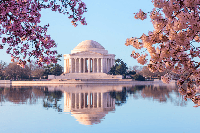 Land Adventure: DC Monuments & Memorials with Heart of DC Tours