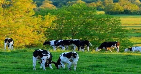 Culinary & Culture Adventure with Normandy Food Tour