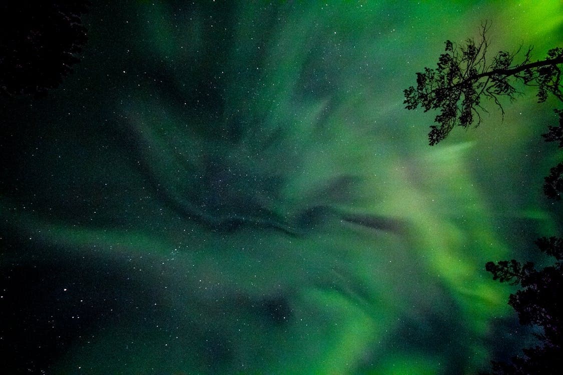 Northern Lights Experience with PicTours America in Anchorage