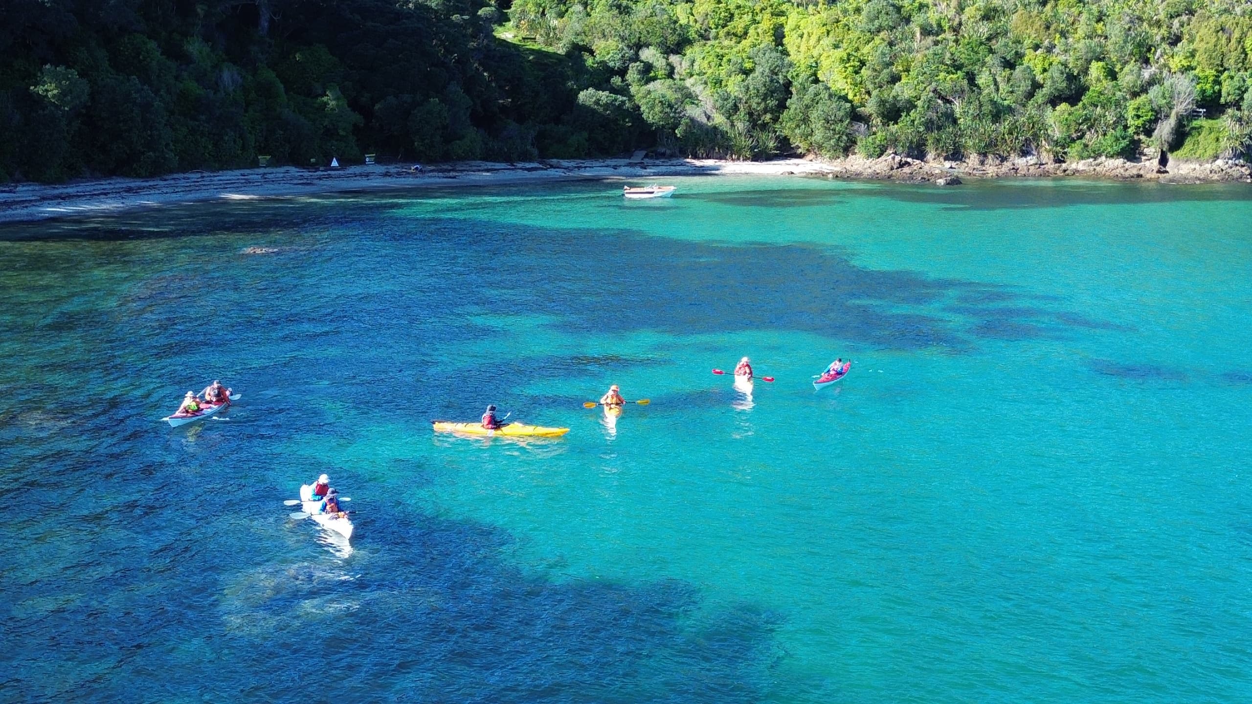 Sea Kayak Adventure with Canoe & Kayak to Tiritiri Matangi