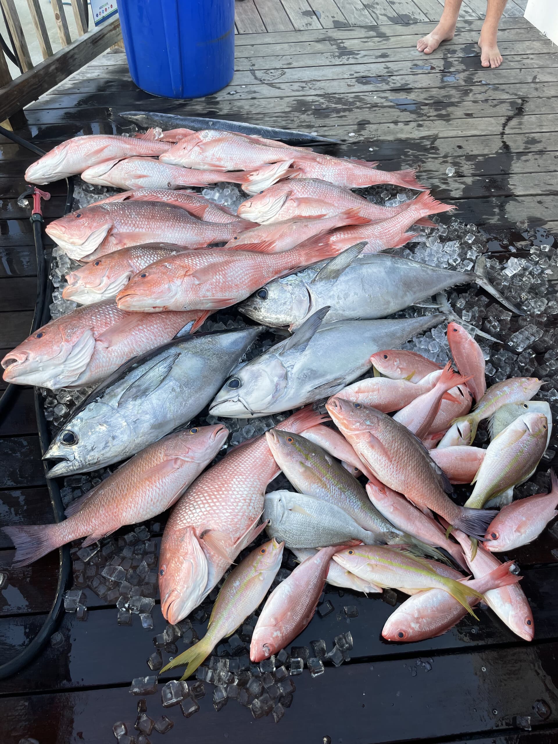 12-Hour Red Snapper Open Boat: Naples Offshore Fishing with Captain Alec