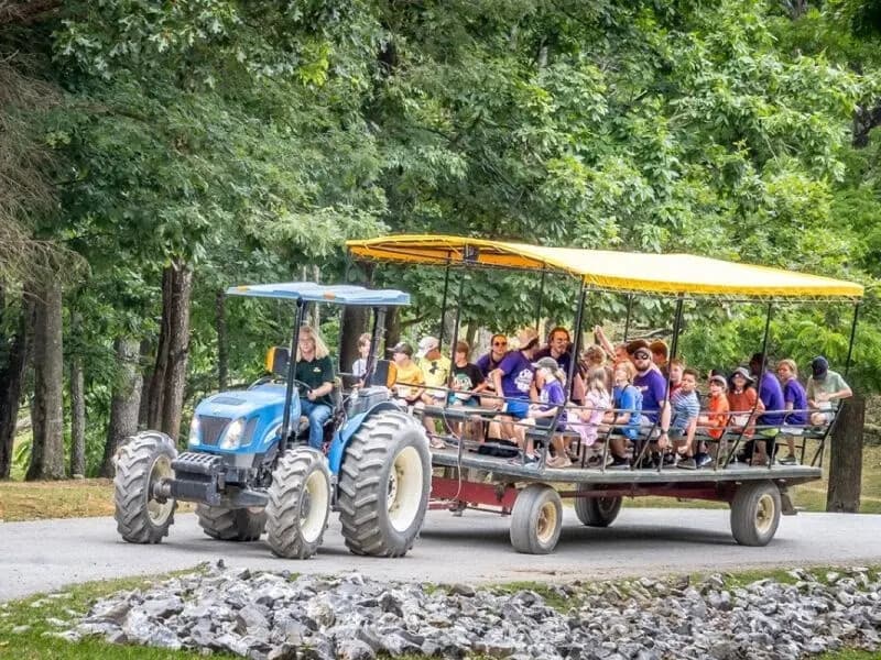 Wagon Rides at the Park in Commerce, Georgia — Up-Close Animal Encounters in 45 Minutes