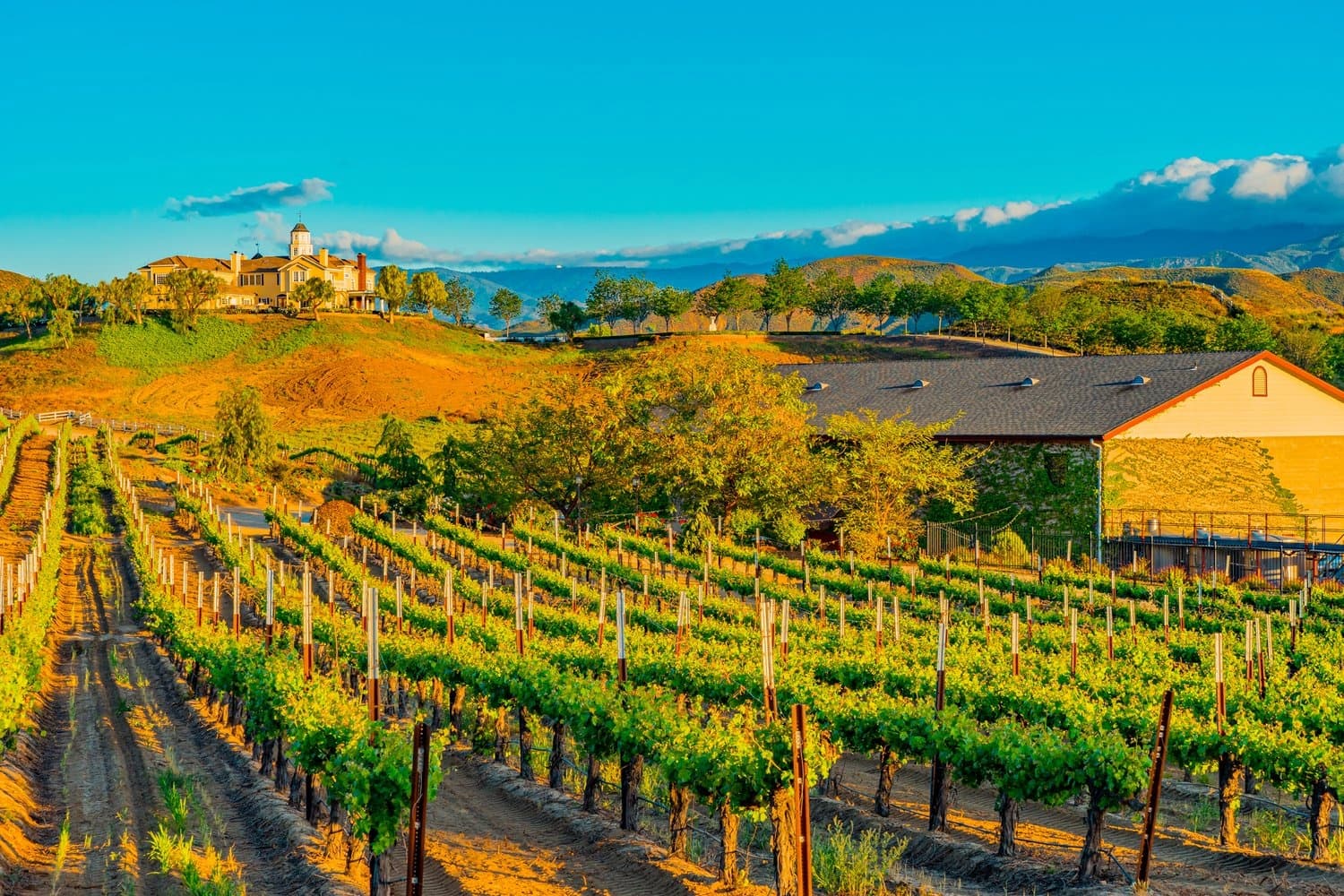 Temecula Air Shuttle & Executive VIP fleet