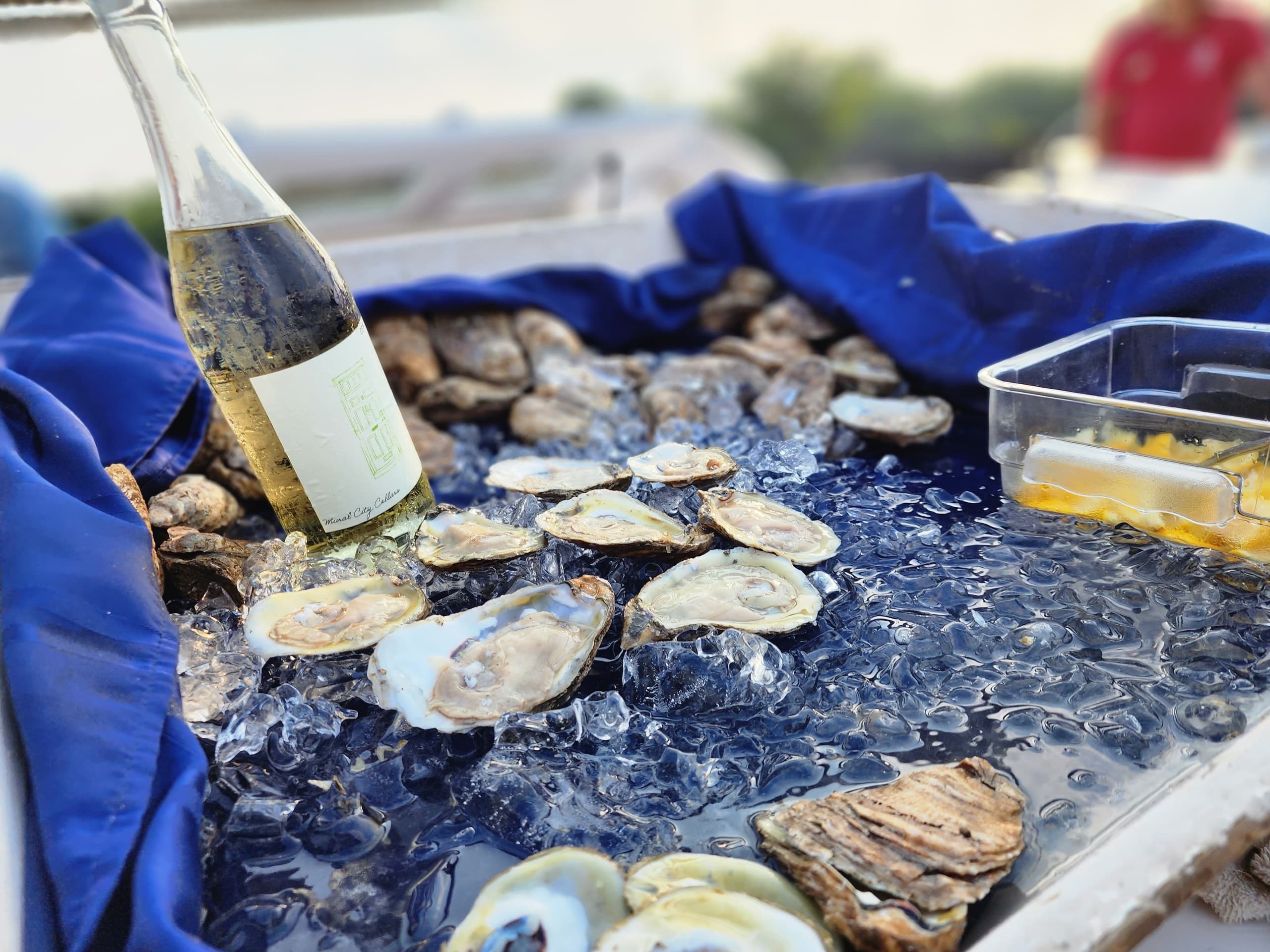 A.J. Meerwald Oyster Sail in Cape May: Fresh Delaware Bay Oysters & Historic Schooner Experience photo 2