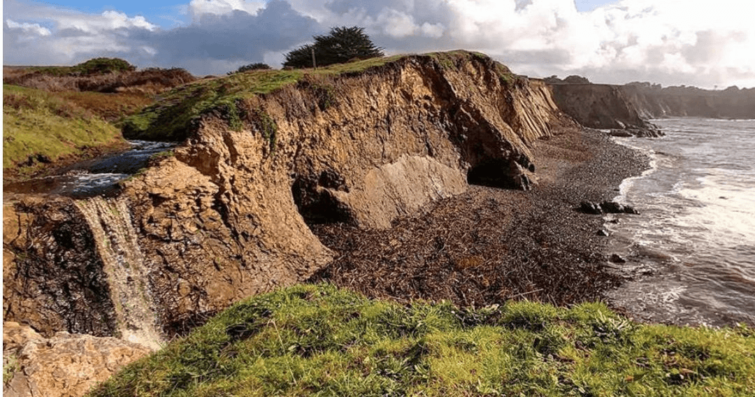 Explore Stornetta Lands National Monument in Point Arena