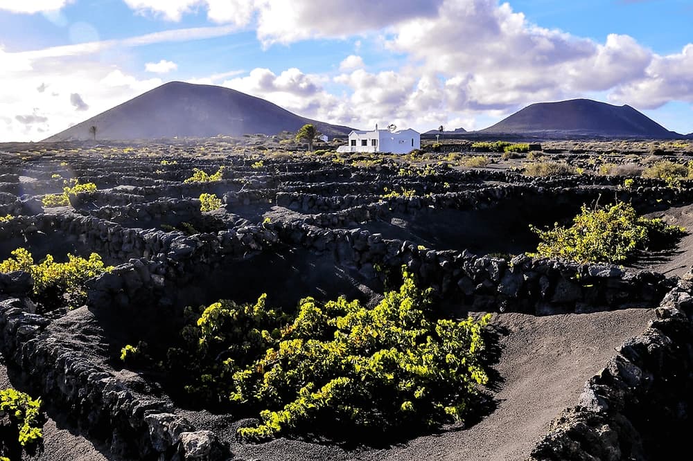 Land Adventures: Lanzarote Bus Trip with Fuerteventura Connection