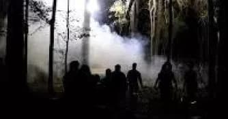 Al's Authentic Paranormal Tours fleet