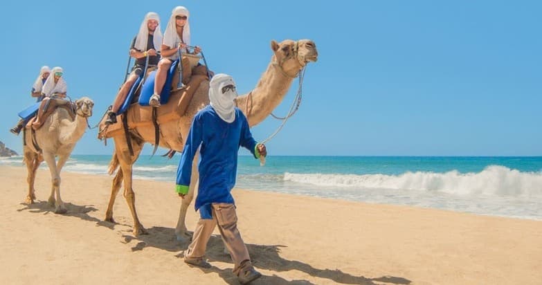 Baja Desert Camel Safari with Cabo by Sea