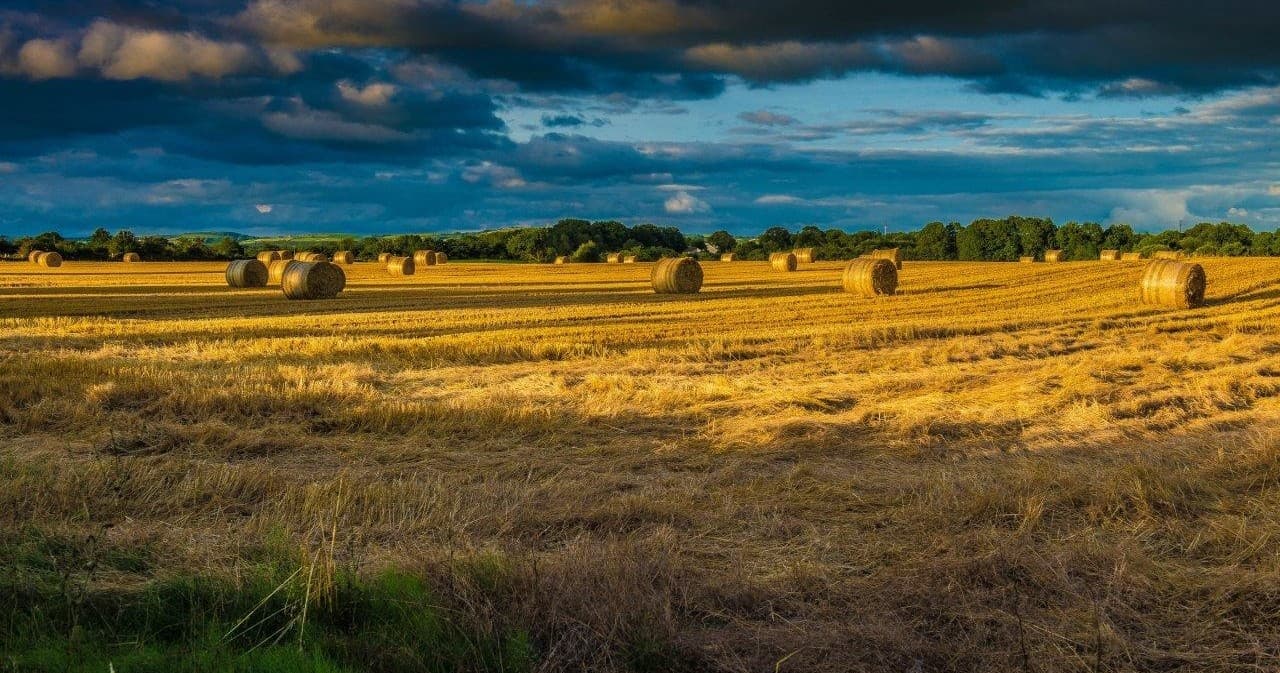Northern Ireland Literary Tour with InSite Tours Ireland in Bellaghy