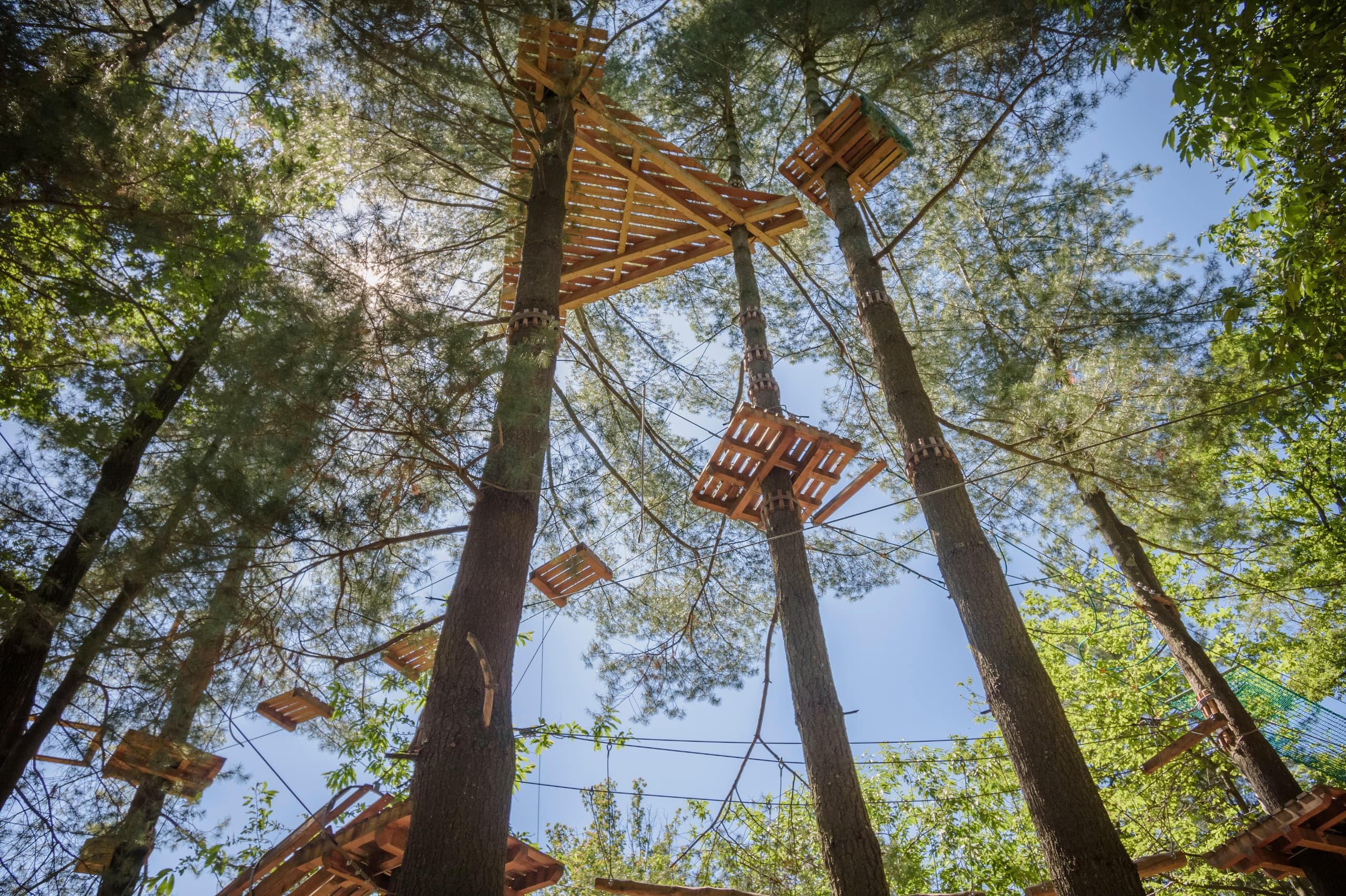 Adventure Park Lago d'Orta Le Pigne: Zipline Thrills in Italy