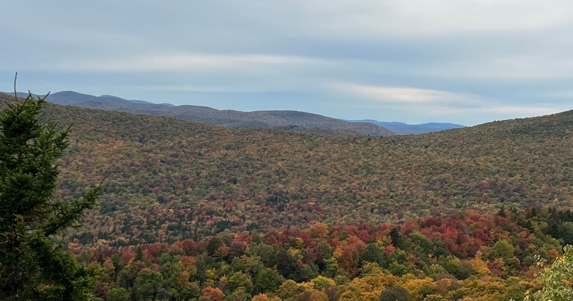 Autumn mountain overlook with panoramic fall foliage view