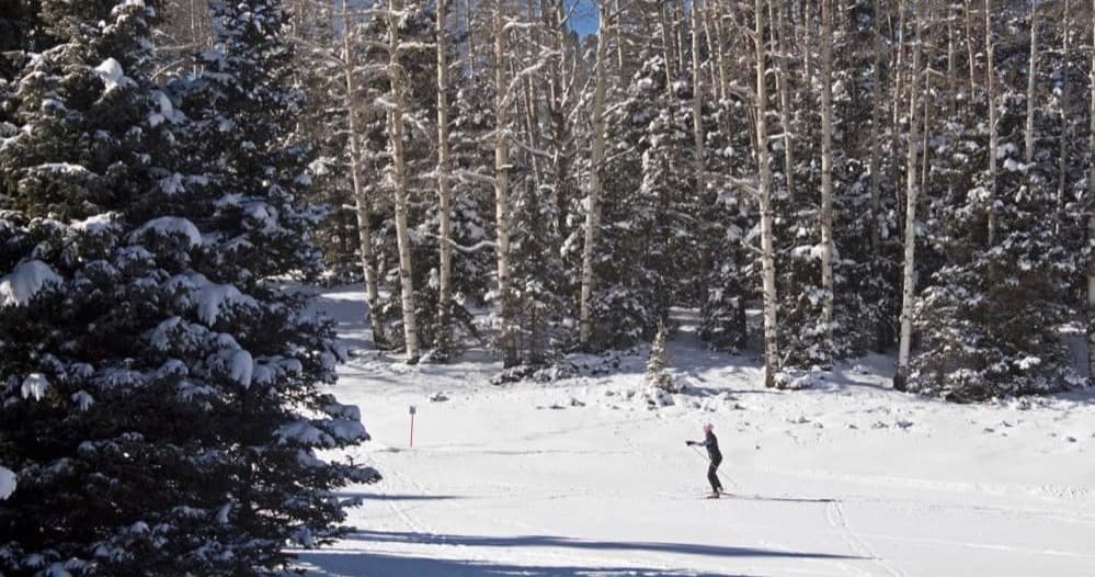 Alpine skier descending gentle snowy meadow surrounded by aspens