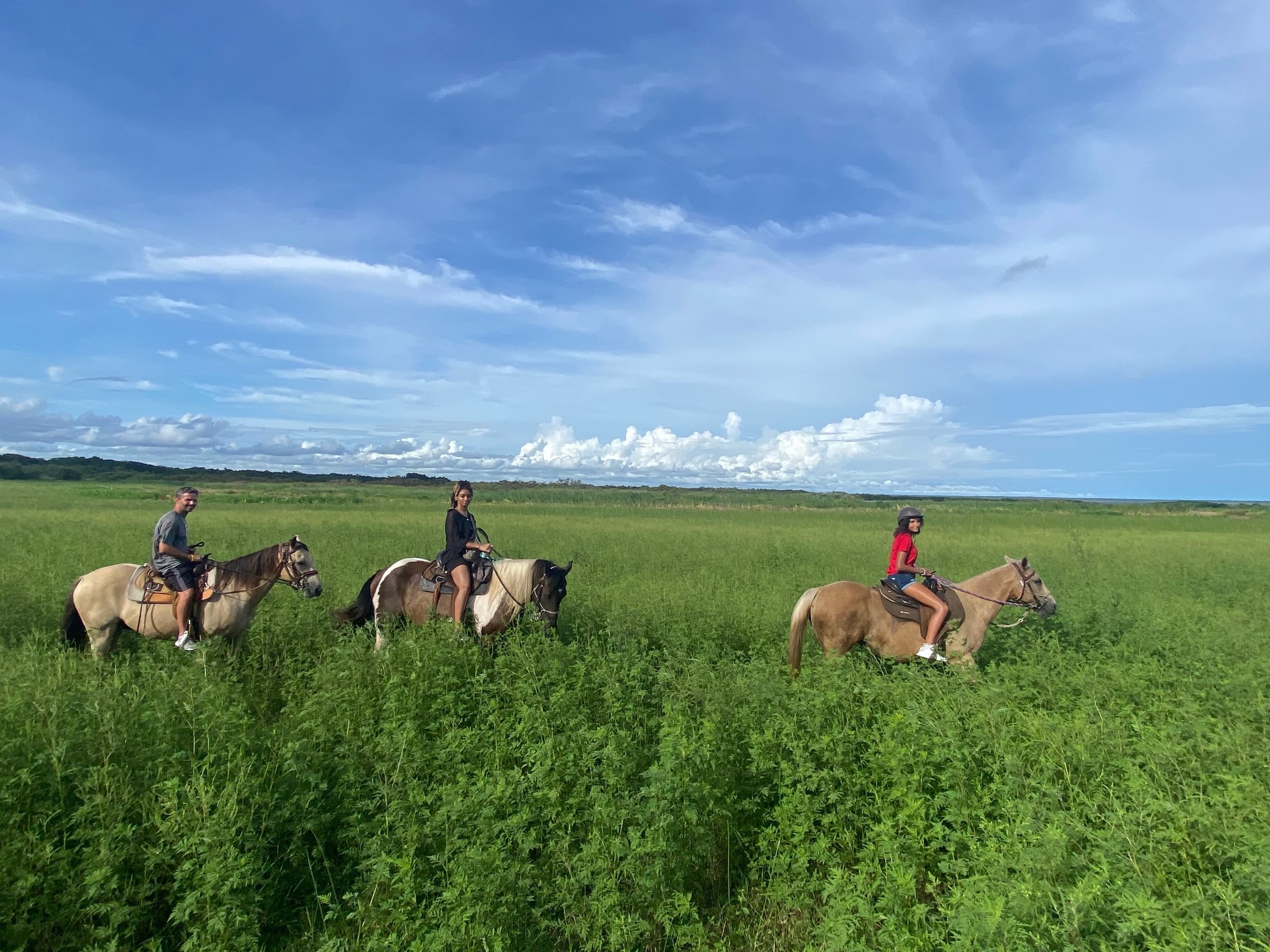 Explore Florida’s Hidden Palms on a Private Guided Trail Ride