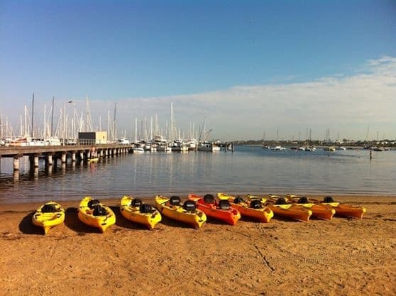 Kayak Hire at Sandringham with East Coast Kayaking