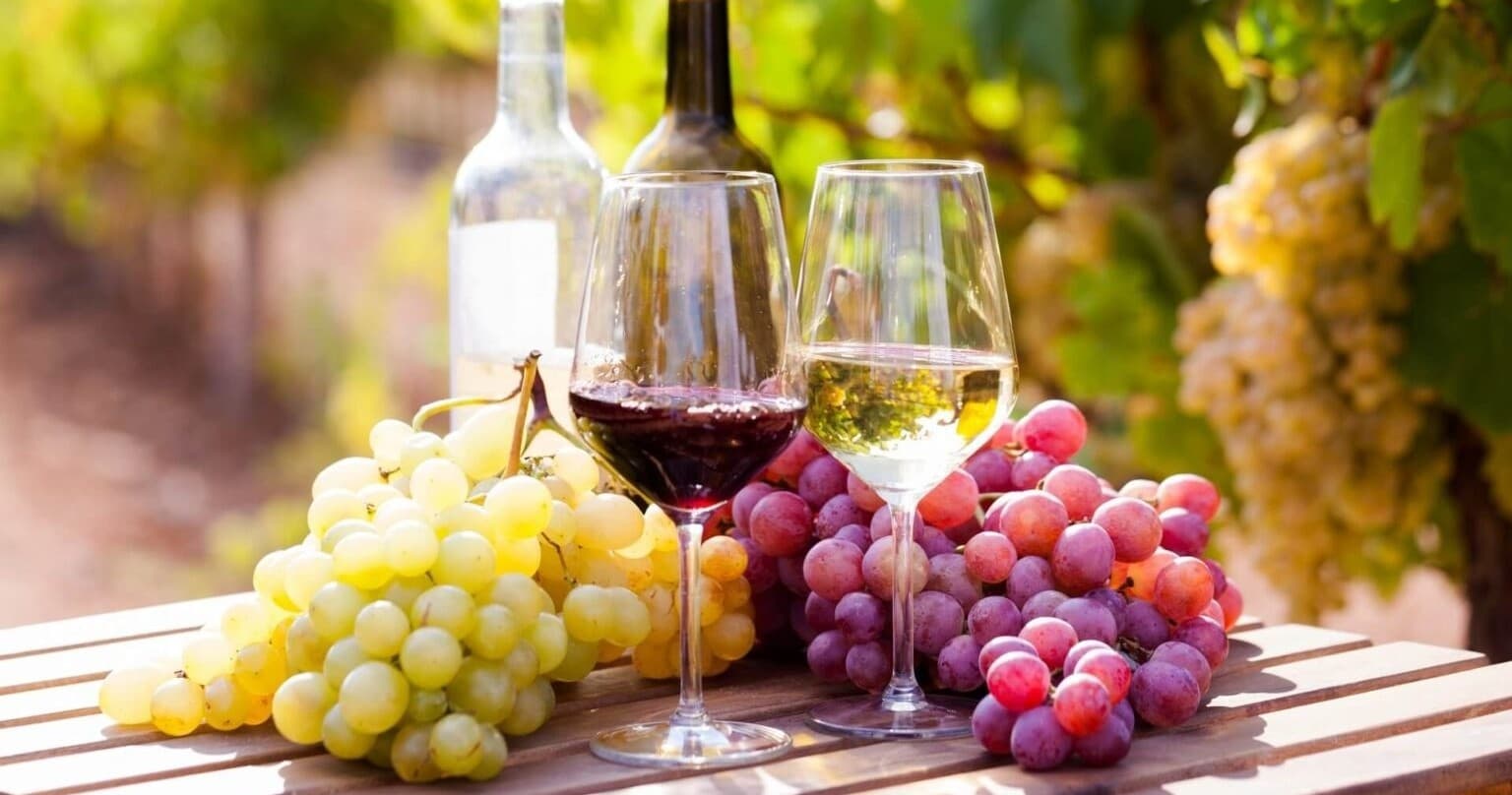 Wine Tasting at Vesuvio National Park with Max Travel
