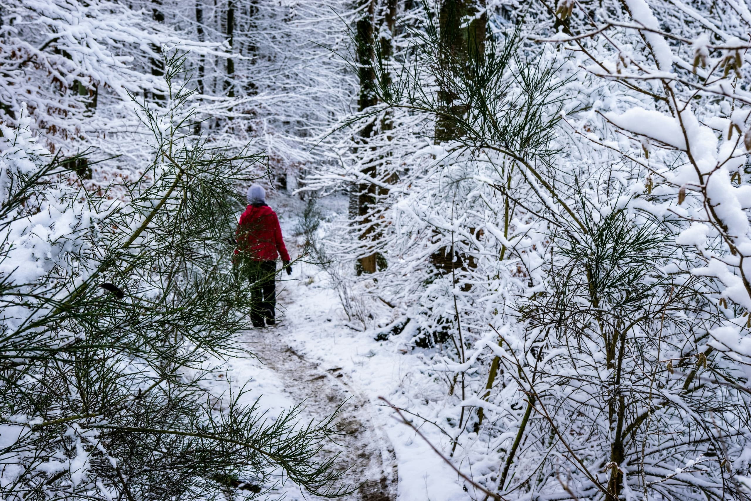 Forest Waterfall Hike and Open-Fire Lunch at Hotel Ukkohalla, Hyrynsalmi