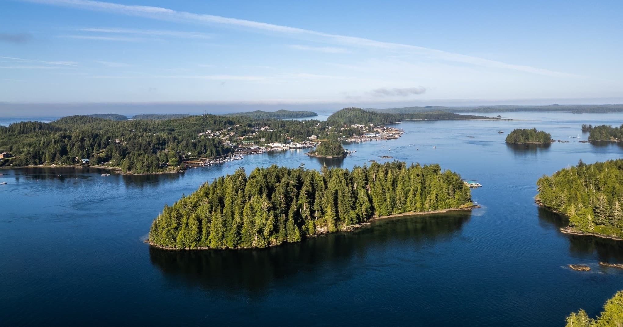 Coastal Bear Watching with Remote Passages in Tofino