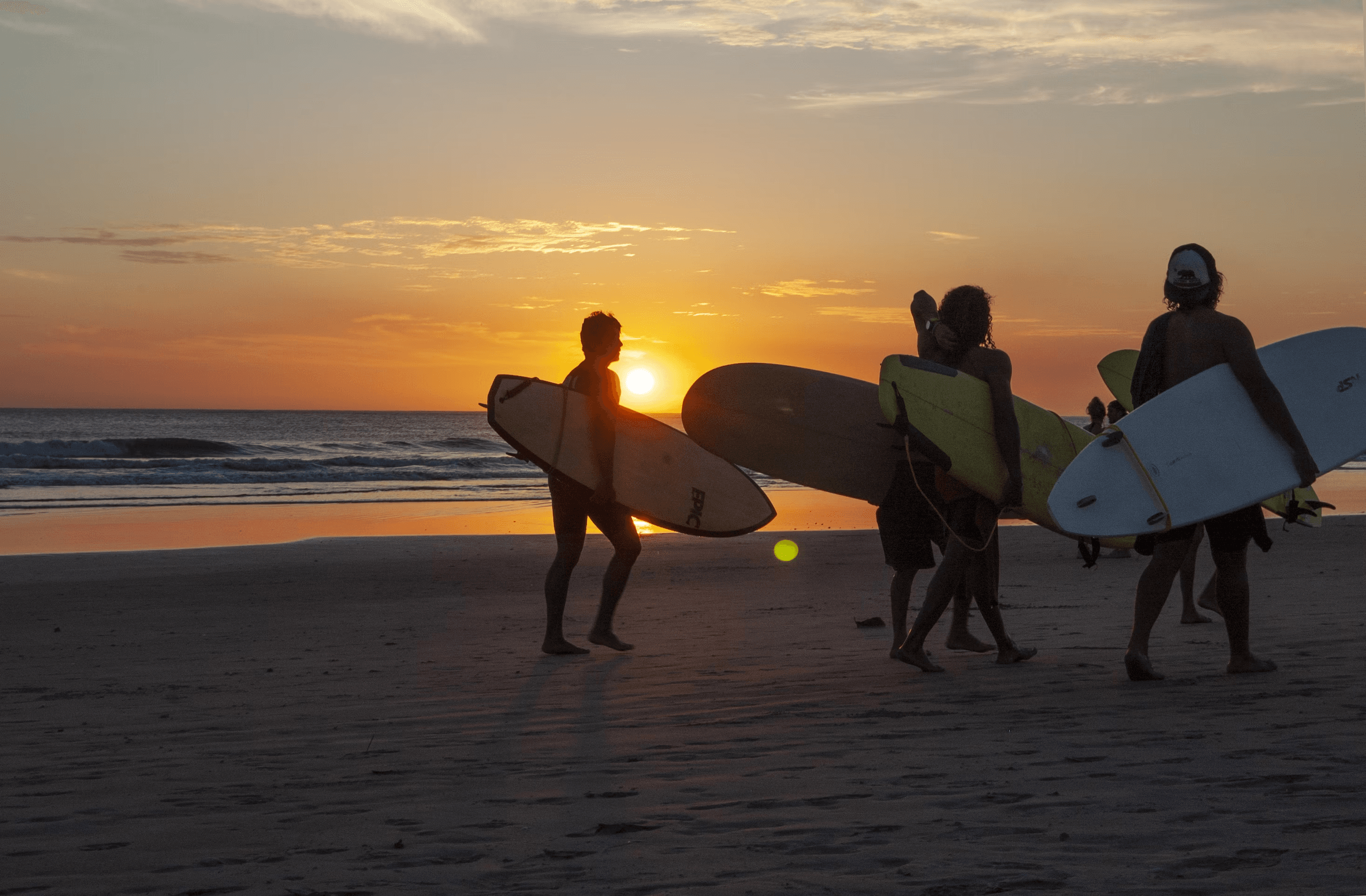 Surfers walking on sunset beach carrying surfboards