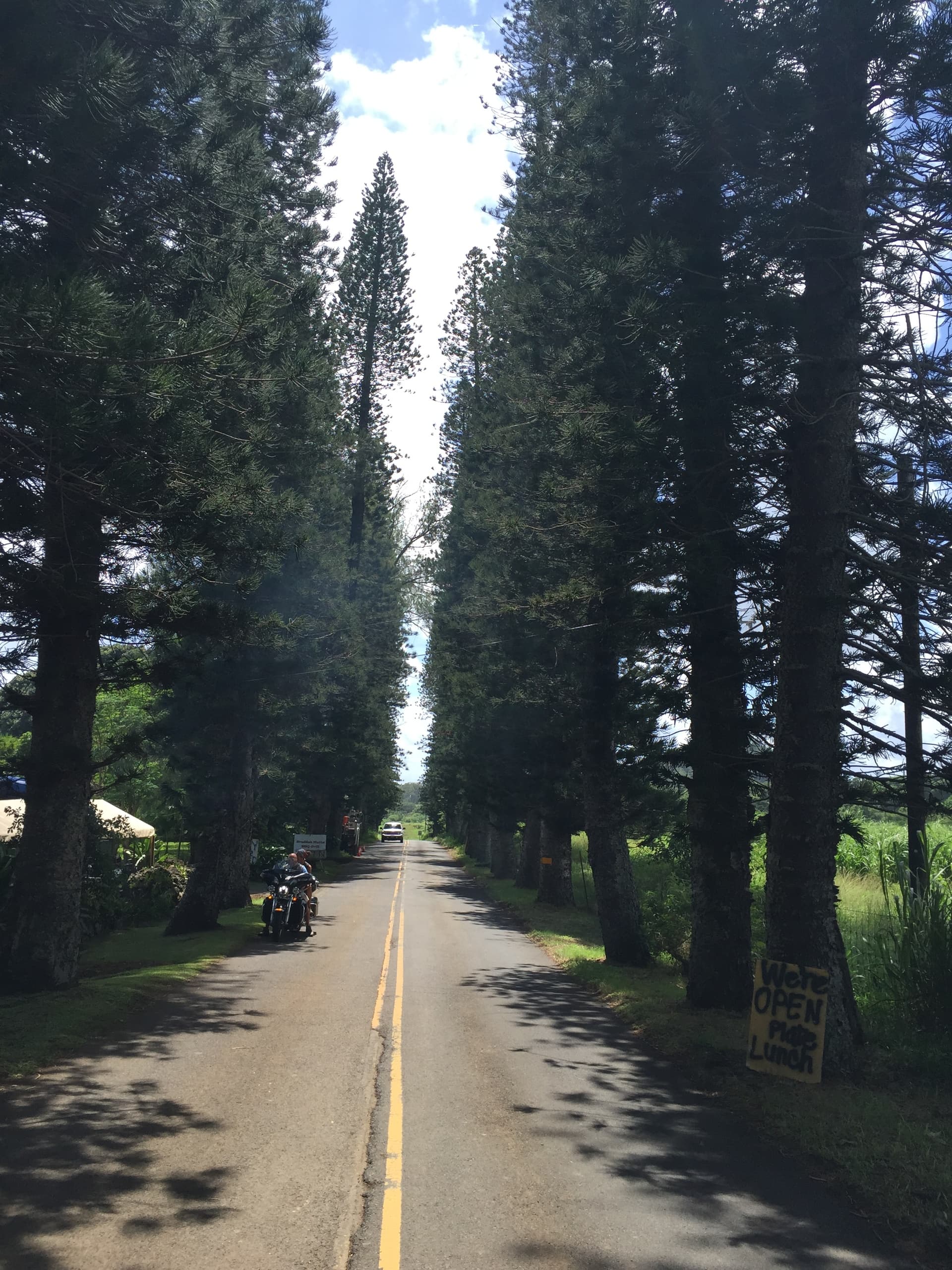 Road to Hana Day Trip with Dynamic Tour Hawaii