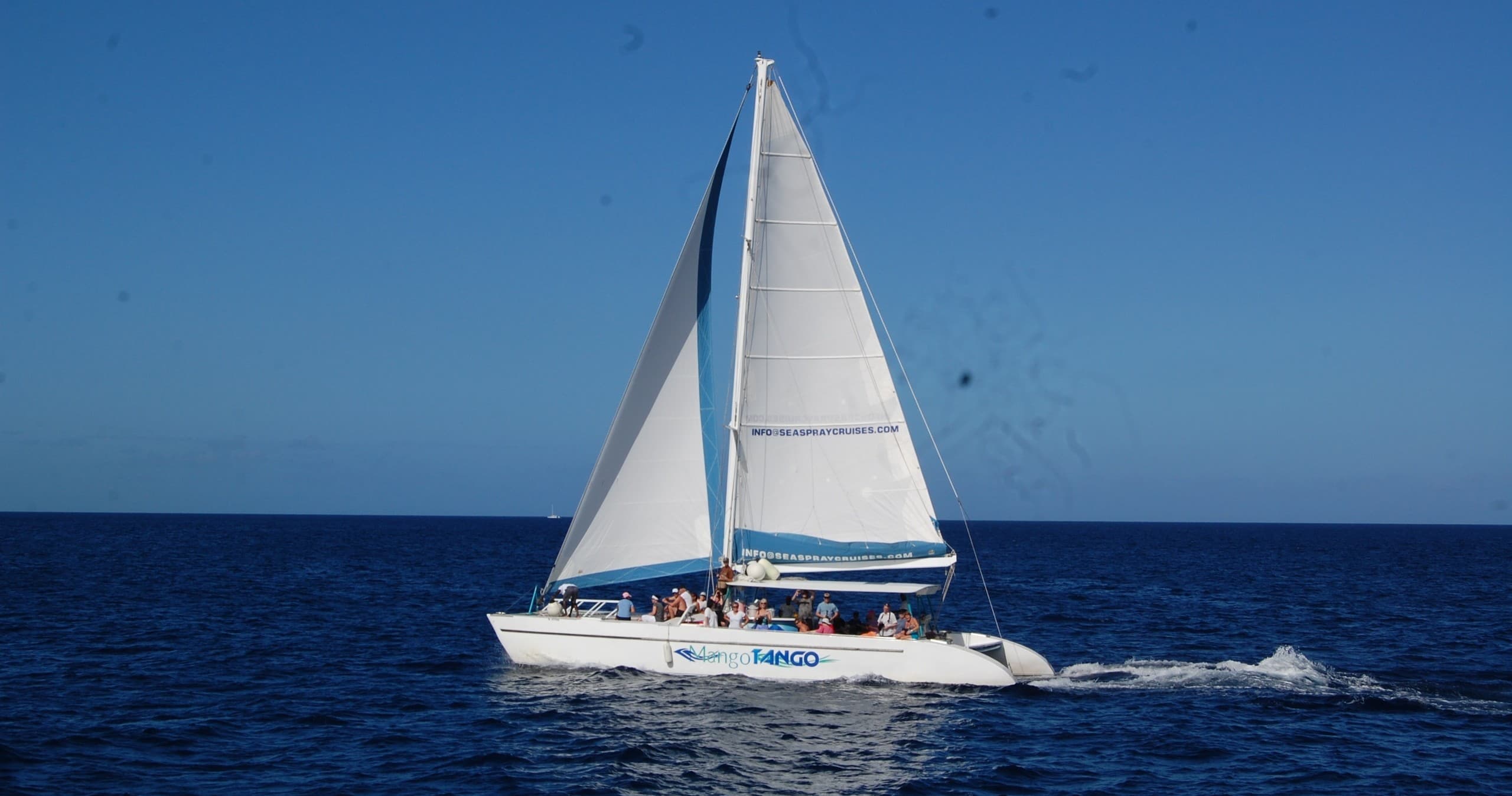 Water Activities: Mango Tango Catamaran Experience in the Caribbean