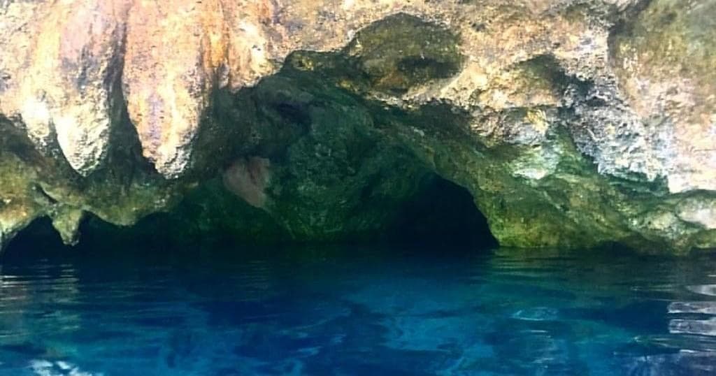 Cenote Snorkel Tour by Aquanauts Dive Adventures