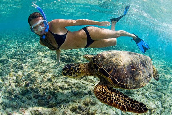 Snorkeler swimming beside sea turtle over shallow coral reef