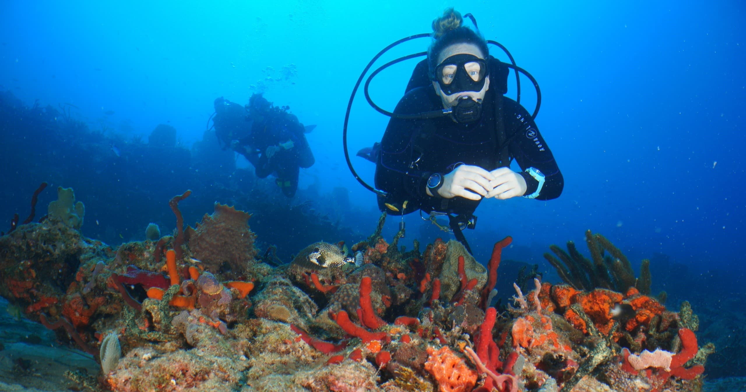 Advanced Scuba Certification in Boca Raton: 3-Day Force-E Course to 100ft photo 4