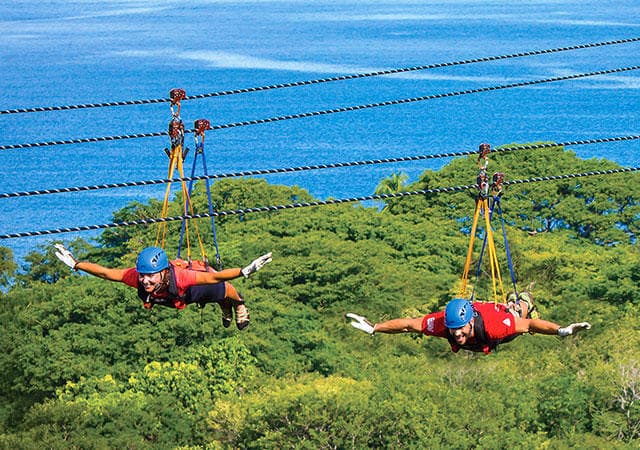 Two people ziplining over coastal forest with ocean view