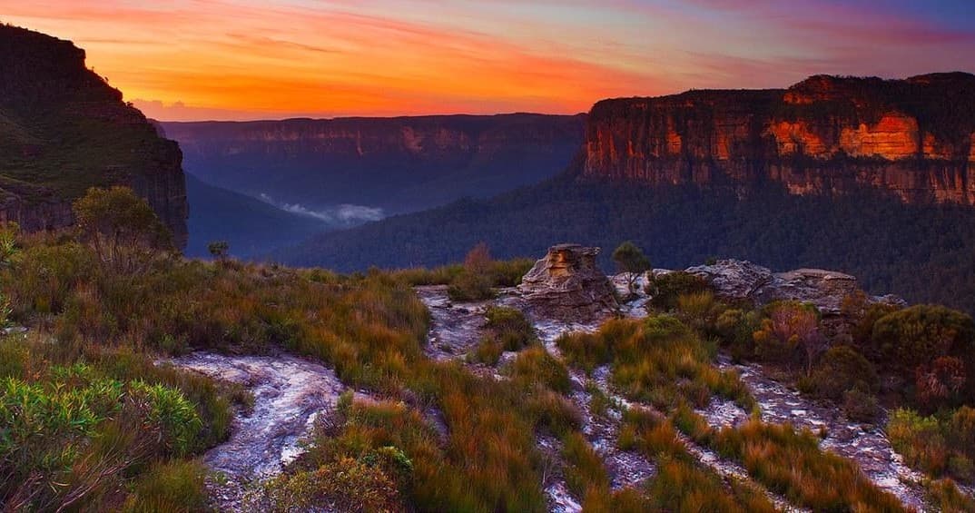 Sunset cliff and wildflower scrub overlooking valley, Blue Mtns