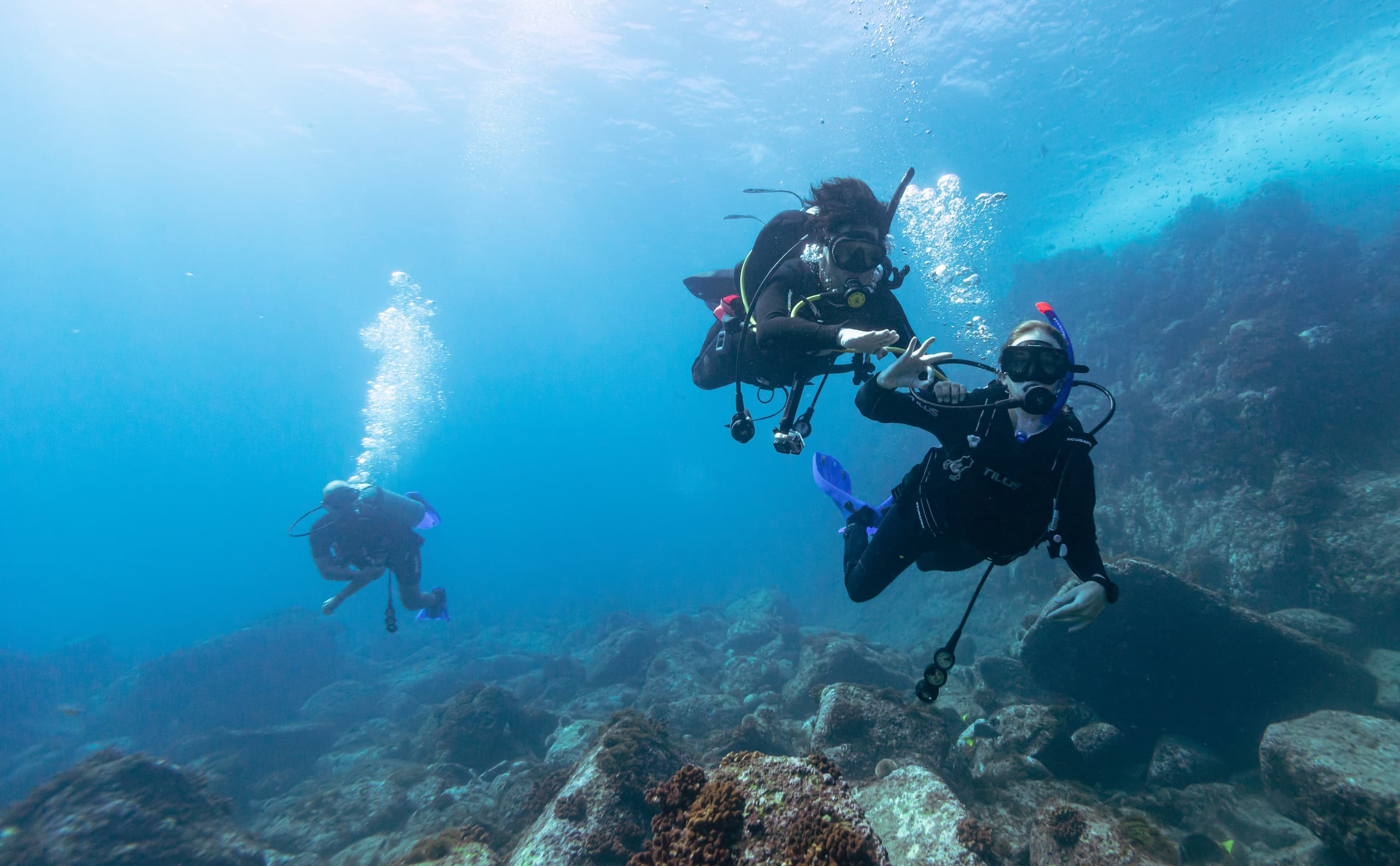 Dive the Corridor: Guided Cabo Corridor Reefs & Shore Dives from Cabo San Lucas photo 2