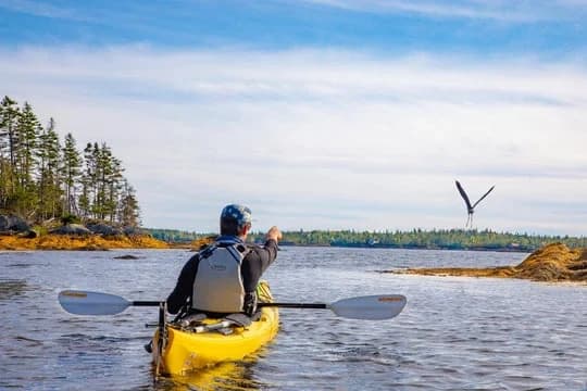 See-Through Kayak Tours in Fort Myers: Dive Into Underwater Views