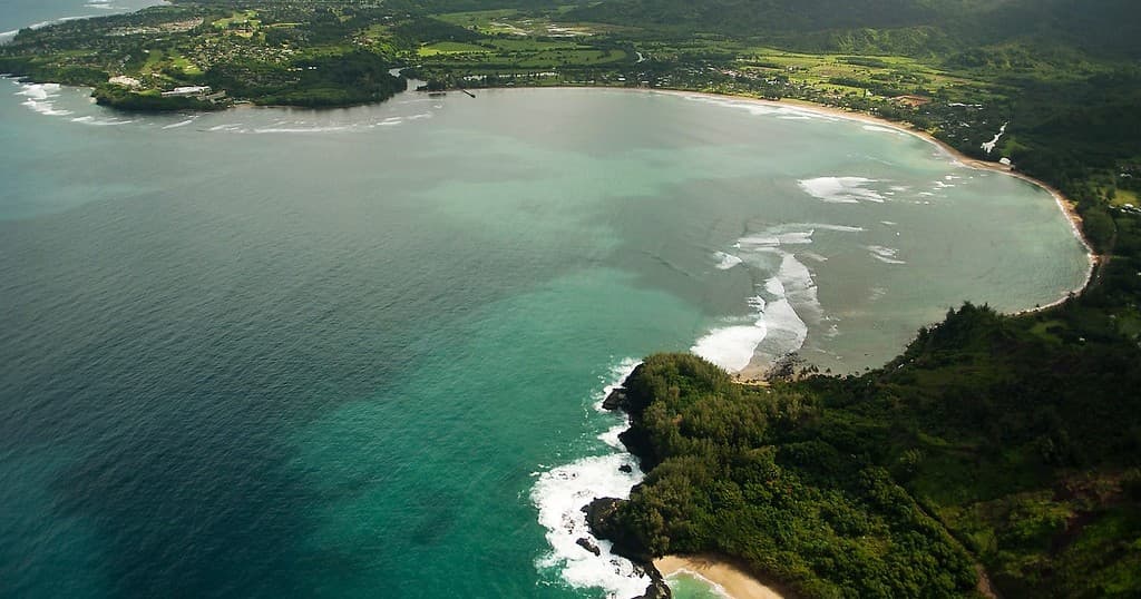 Titus Kinimaka's Hawaiian School of Surfing team