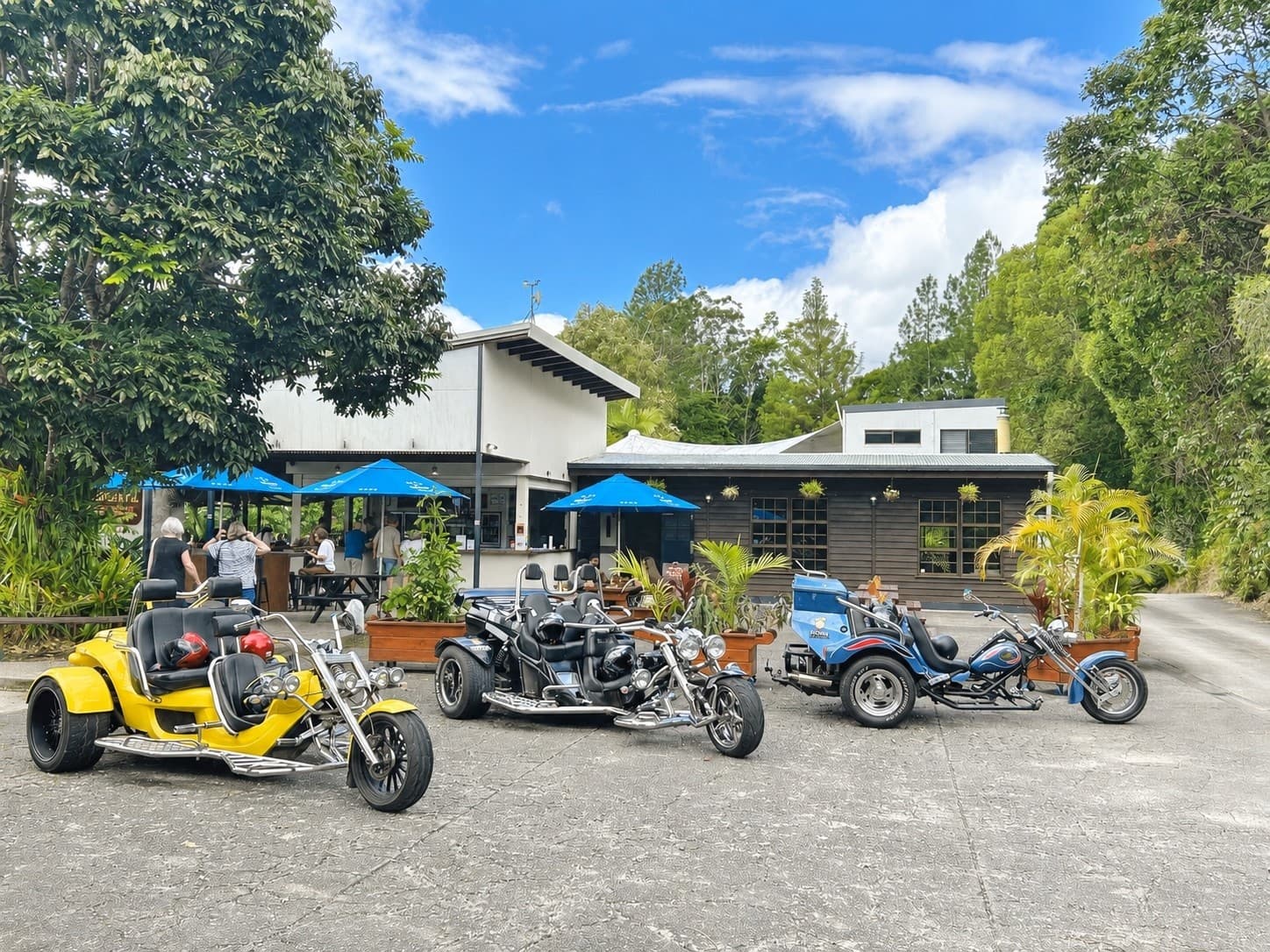Port Douglas Trike Adventure: Custom 5-Hour Coastal Tour & Pub Crawl photo 4