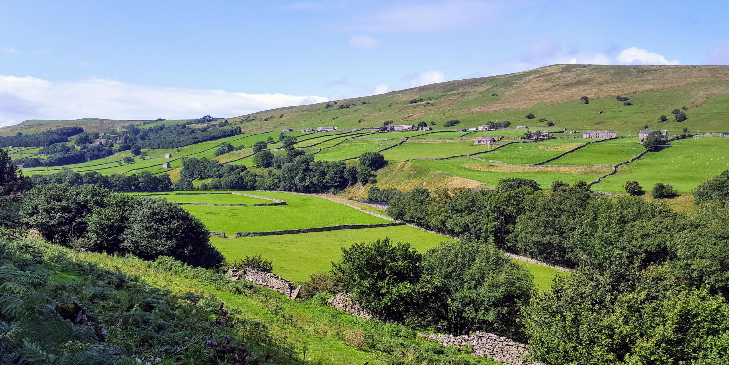 Yorkshire Dales Day Tours with BOBH from York