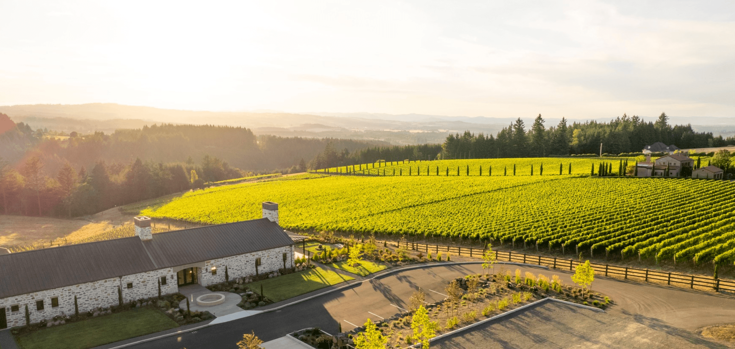 Truffle Foraging and Wine Feast in Portland, Oregon