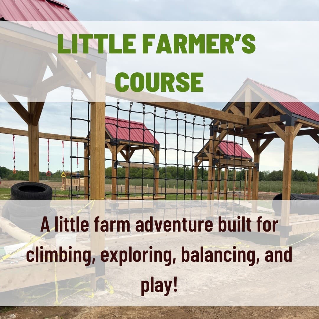 Play Patch Summer Pass: Unlimited Giant Slides, Jumping Pillows & Farm Play
