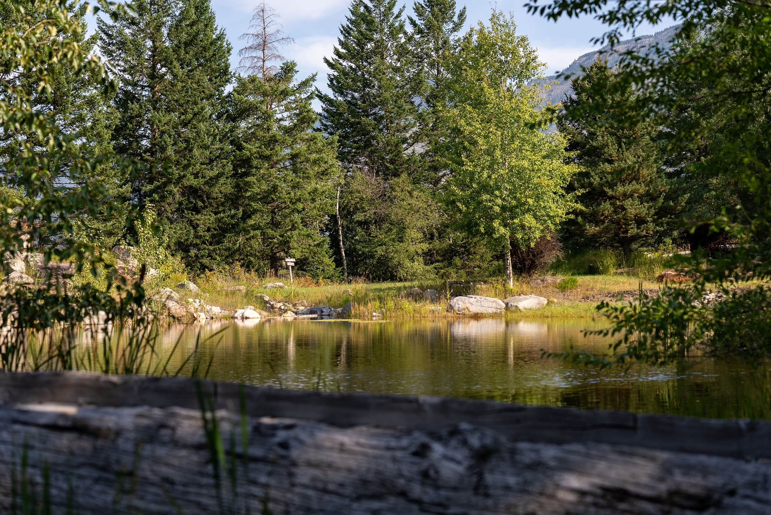 Pond-Side Beginnings: Introduction to Fly Fishing at Glacier Institute