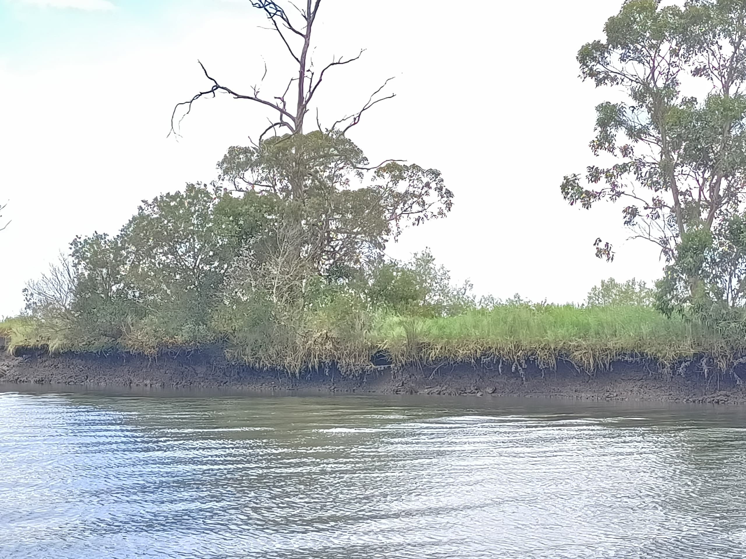 River Vouga Boat Expedition with Praias da Ria in Aveiro