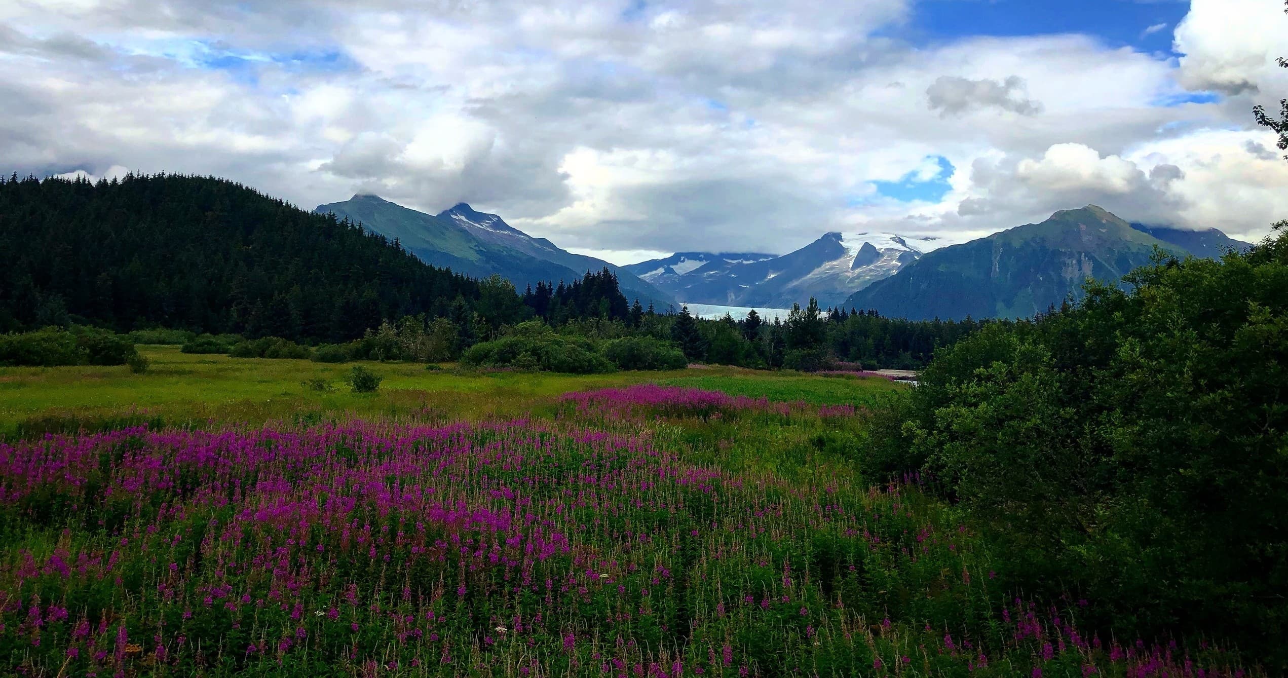 Shore Fishing and Mendenhall Glacier: 90-Minute Juneau Salmon Adventure