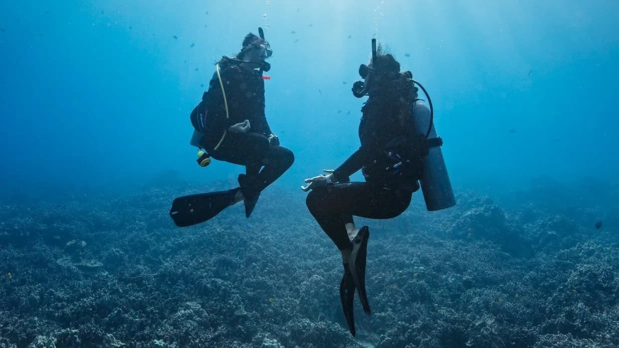 Master Buoyancy with House of Scuba in San Diego
