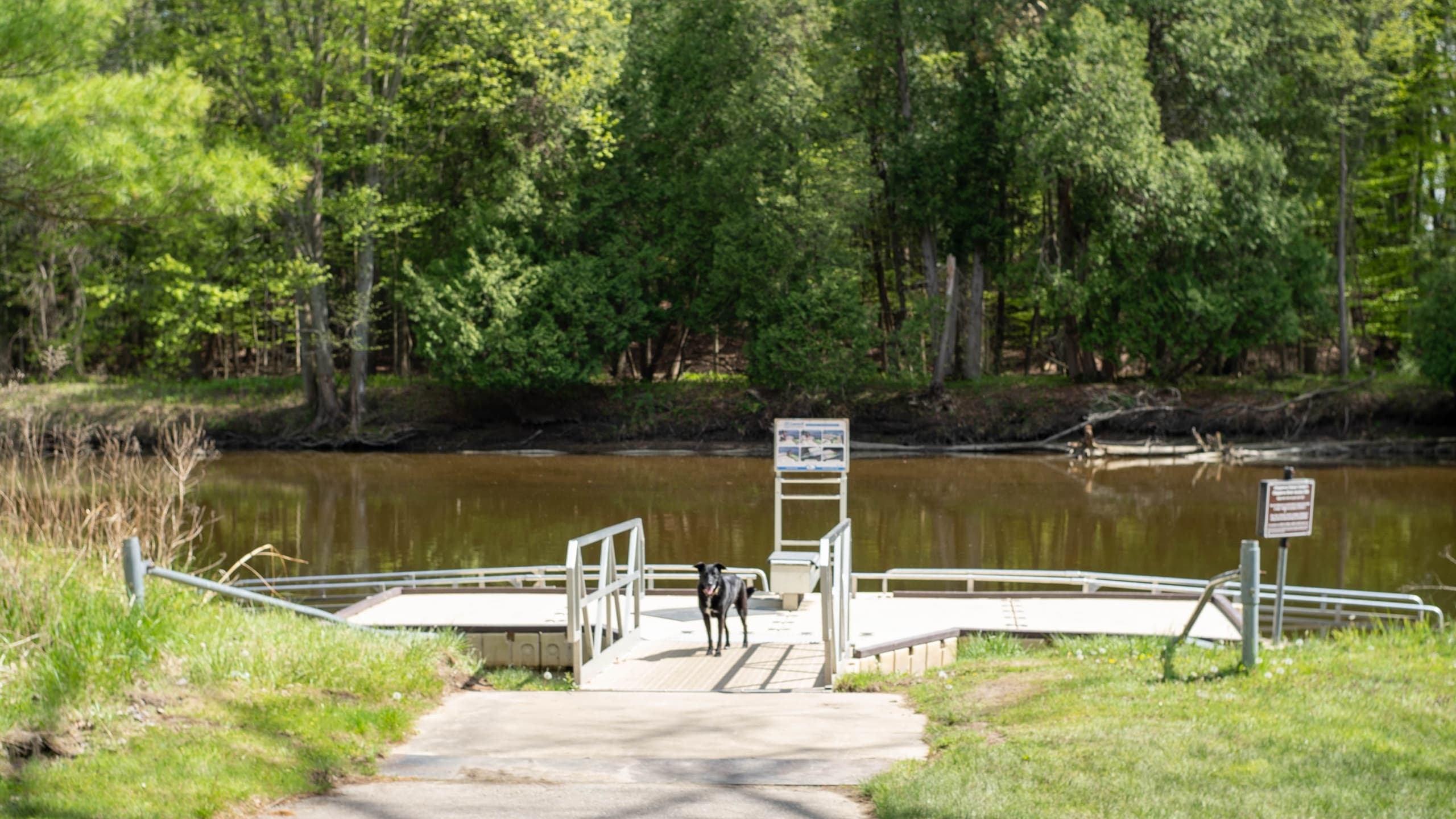 Water Activities with Mountain Man Paddle Co in Midland, MI