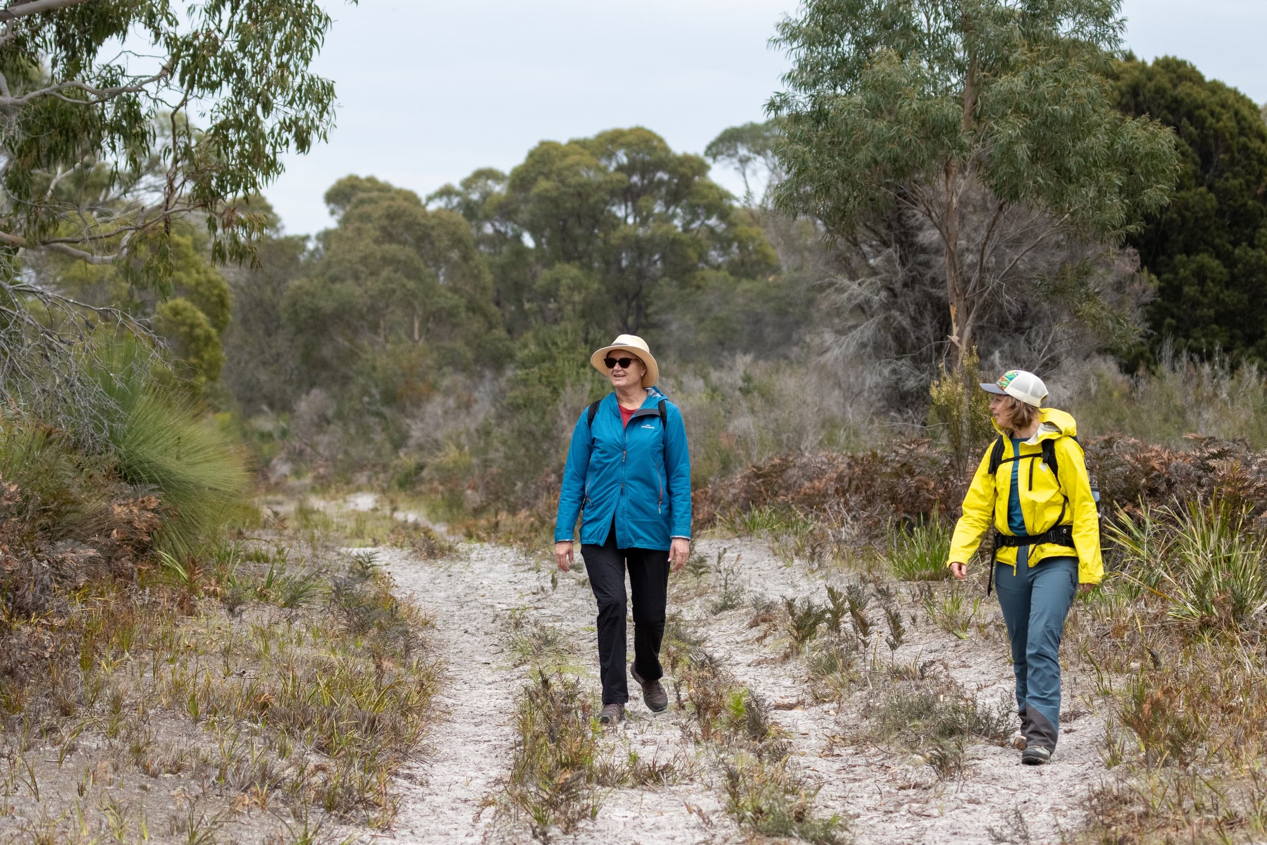 Bakers–Narawntapu Traverse: 20 km Coastal Hike from Bakers Beach photo 3