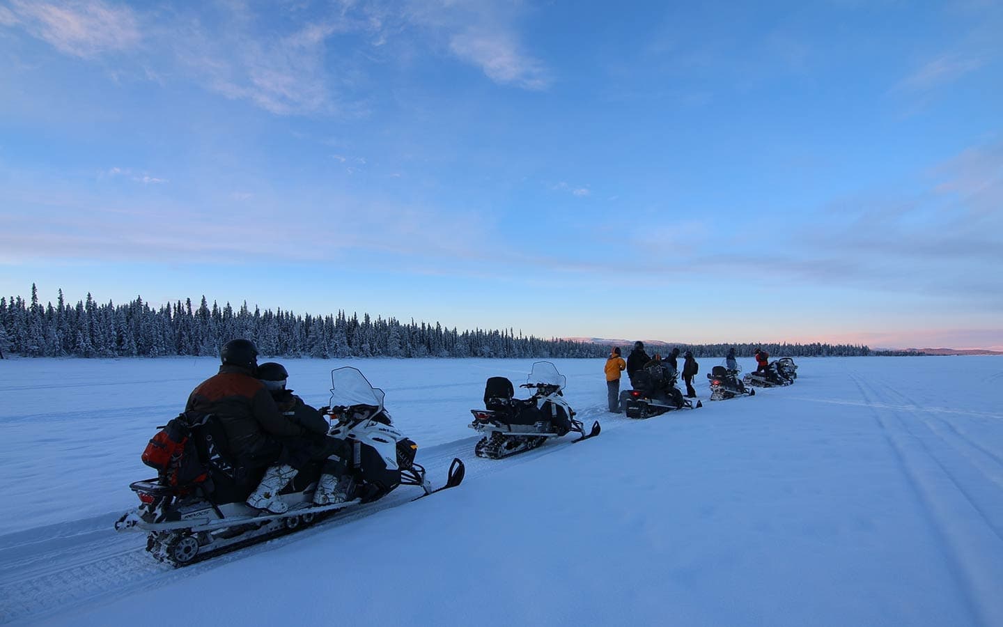 Kiruna Guidetur fleet